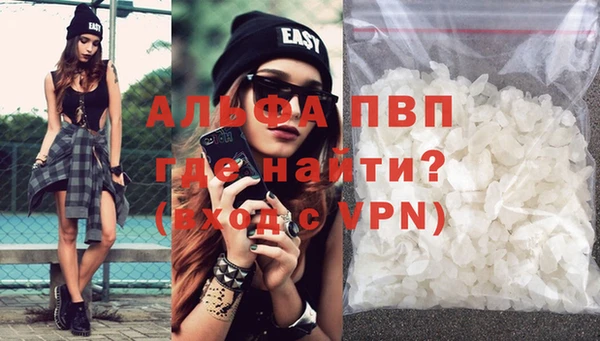 сатива Богданович