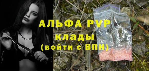 сатива Богданович