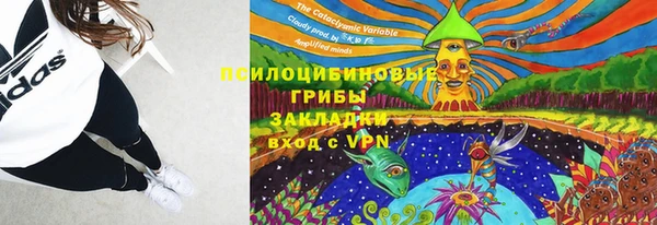 ПСИЛОЦИБИНОВЫЕ ГРИБЫ Богородицк